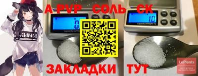 индика Ставрополь