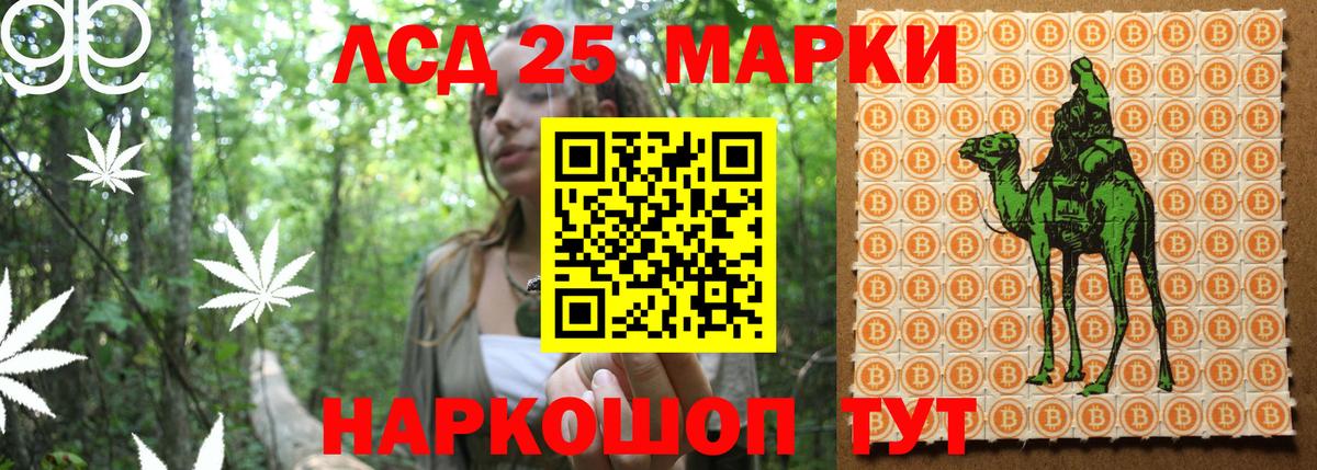 Наркотические марки 1,5мг  Вход с VPN  Новоалтайск 