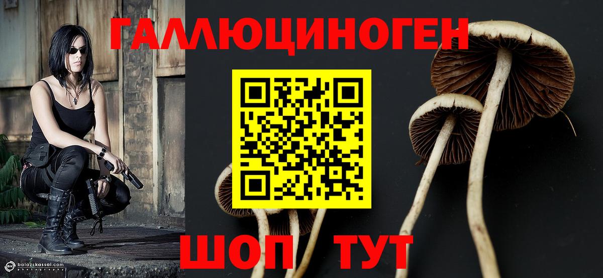 Галлюциногенные грибы Magic Shrooms Новоалтайск