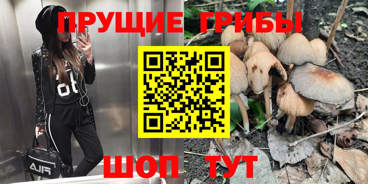 Галлюциногенные грибы Psilocybe  Вход с VPN  Новоалтайск 